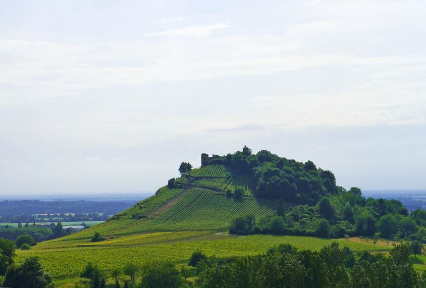 阿索洛·普羅塞科 Asolo Prosecco