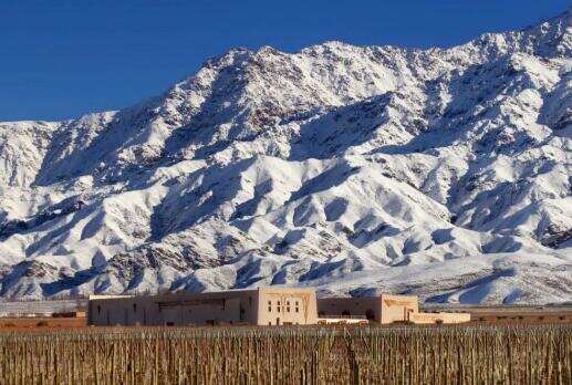 安第斯之箭酒莊 Bodega Flechas de los Andes