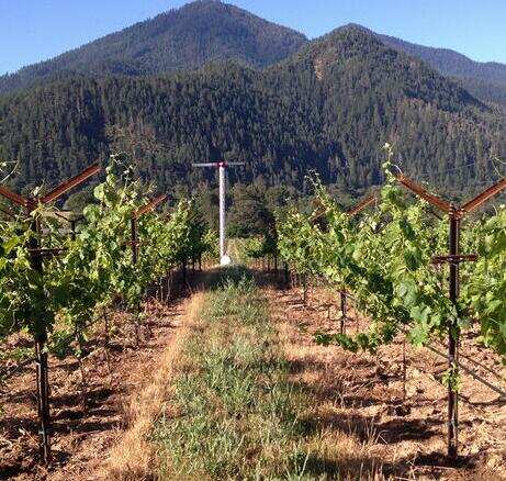 干河谷酒莊 Quady Winery