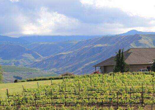 馬丁斯科特酒莊 Martin Scott Winery