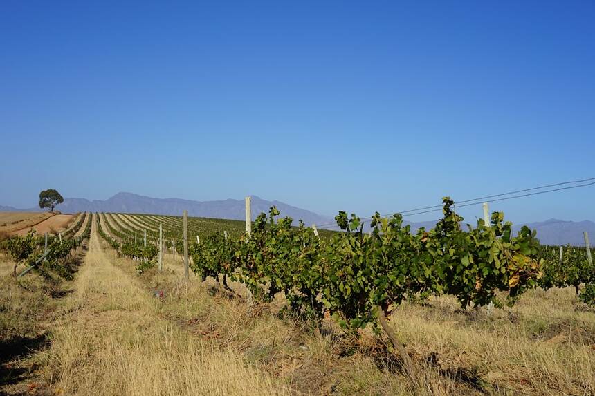 圣瑪麗亞谷 Santa Maria Valley