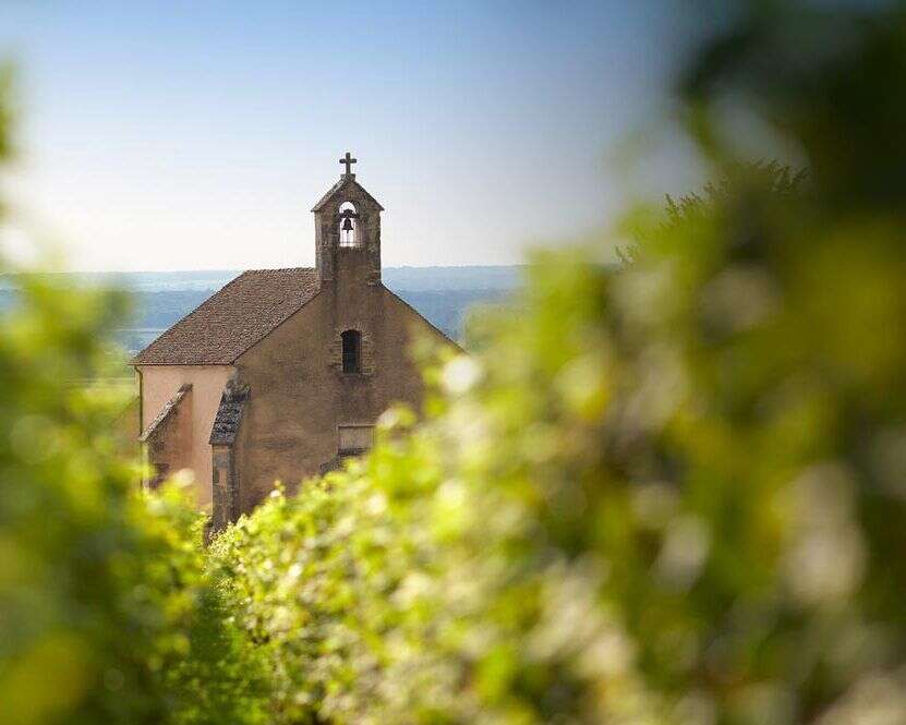 拉夏貝爾園酒莊 Domaine Clos de la Chapelle