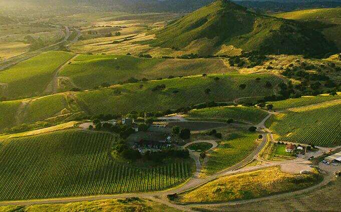 霽霞酒莊 Laetitia Winery