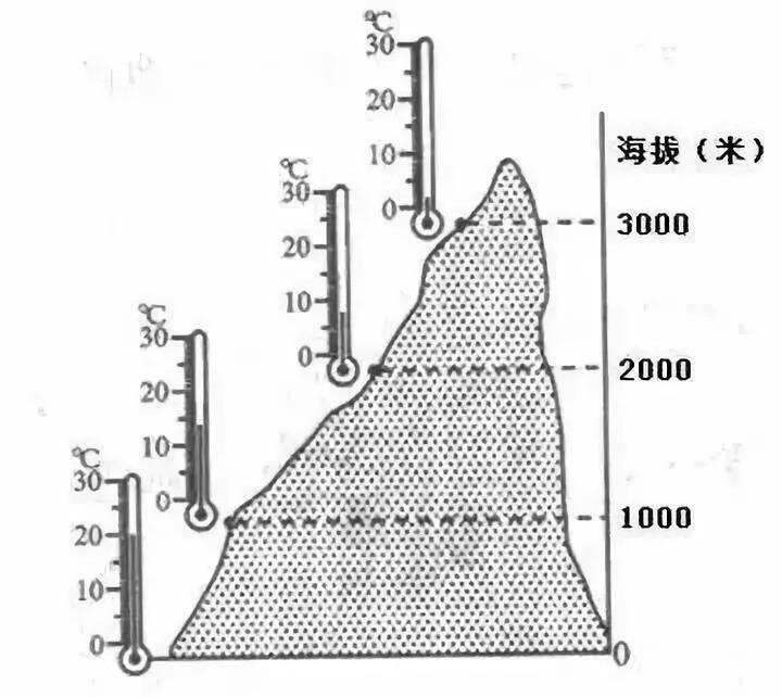 酒里乾坤｜為什么世界只有一個瀘州？