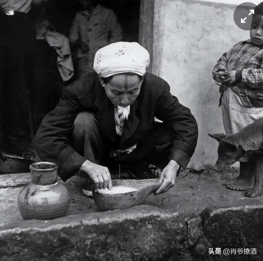 口水也能釀酒？全世界最惡心的10種酒，看完懷疑人生