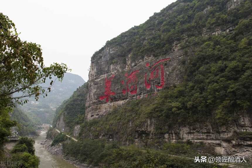 三分天下，濃香型白酒會不會被醬香型白酒取代，領匠深度分析