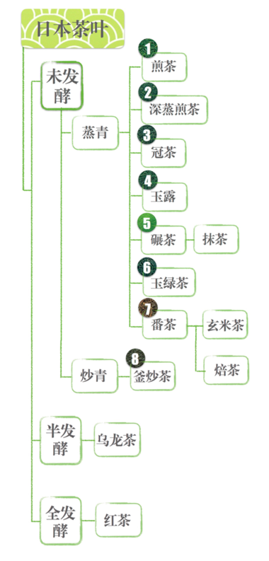 只知道抹茶？日本還有這些精品茶值得你試試