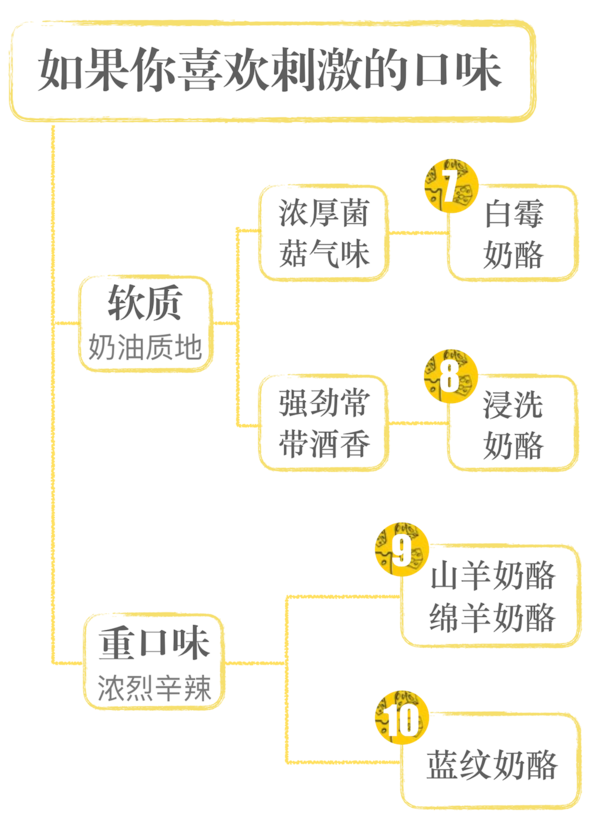 有了這篇奶酪選購指南，從此挑奶酪真的SO EASY！