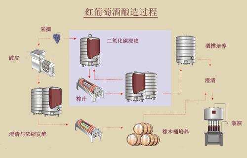 什么顏色的葡萄酒最好？你們知道嗎？