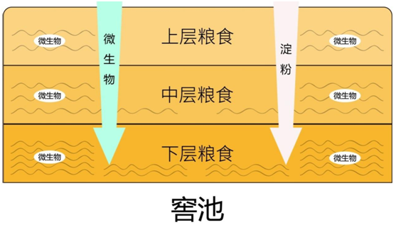 量質摘酒，讓劍南春更“稀缺”丨解密真實優質濃香