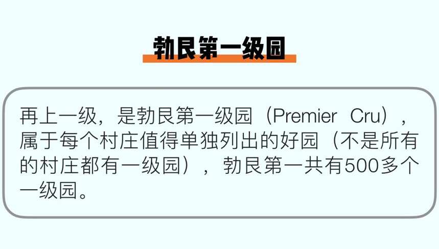 收藏！這是我見過的最清晰易懂的勃艮第入門指南