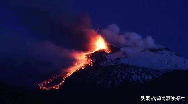 火山土壤的葡萄酒，是種什么味道？盤點全球火山土壤產區