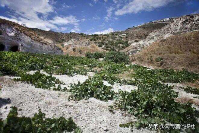 火山土壤的葡萄酒，是種什么味道？盤點全球火山土壤產區