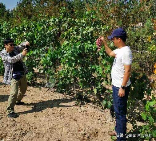 “留世酒莊”讓人“留連忘返”~~“寧夏烤羊”遇到“餓狼傳說”