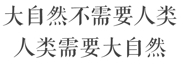 深陷疫情又碰到霜凍，法國酒農們真太難了