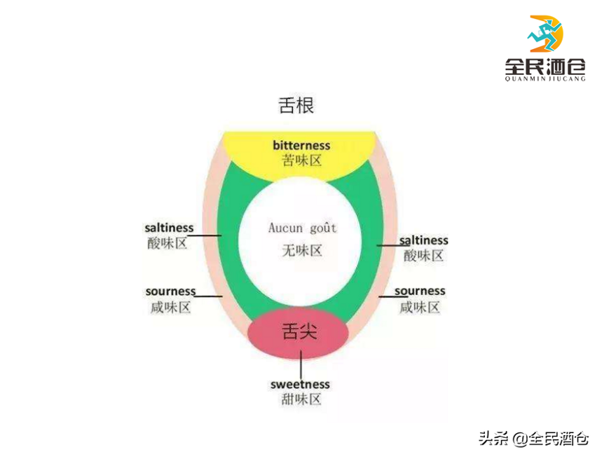 葡萄酒品鑒-味覺篇