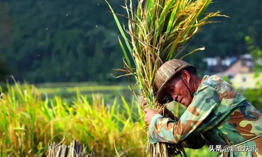 《國風·七月》：詩經里的《人生一串》，滿滿的生活氣