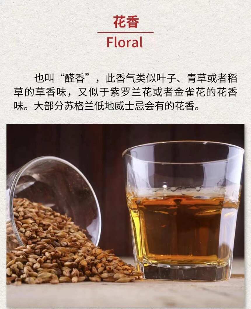 威士忌的不同香氣如何產生的？