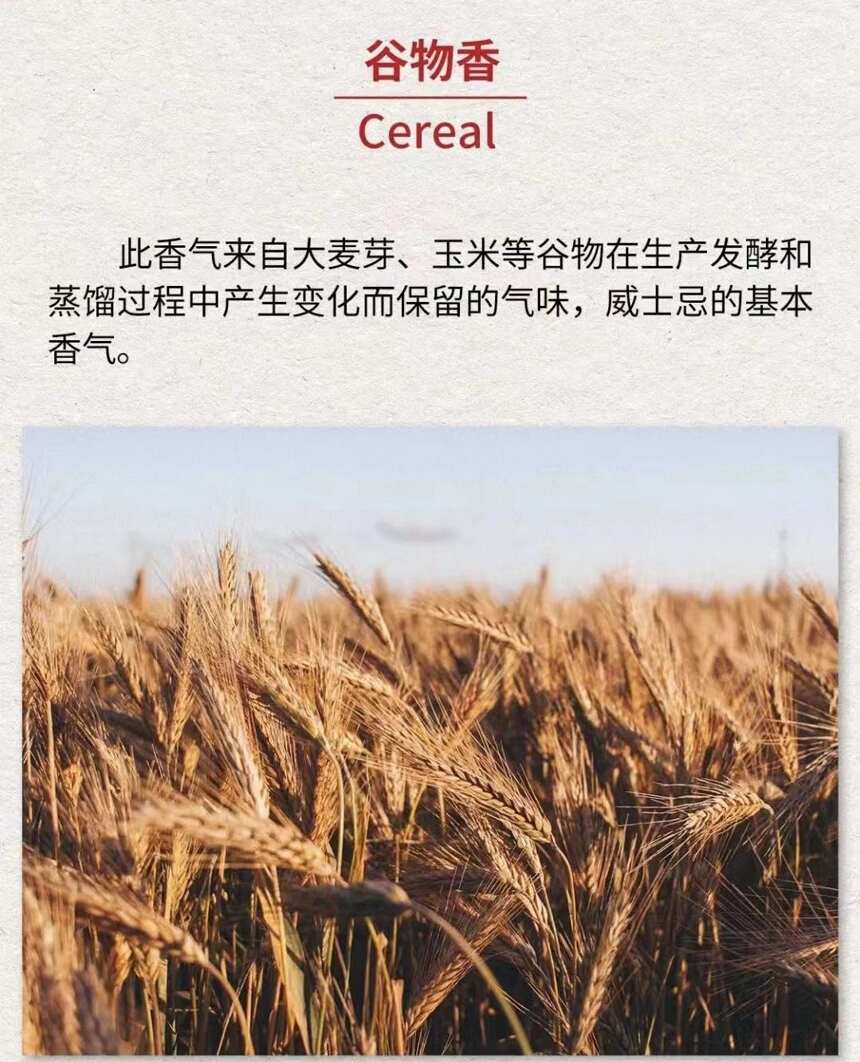 威士忌的不同香氣如何產生的？