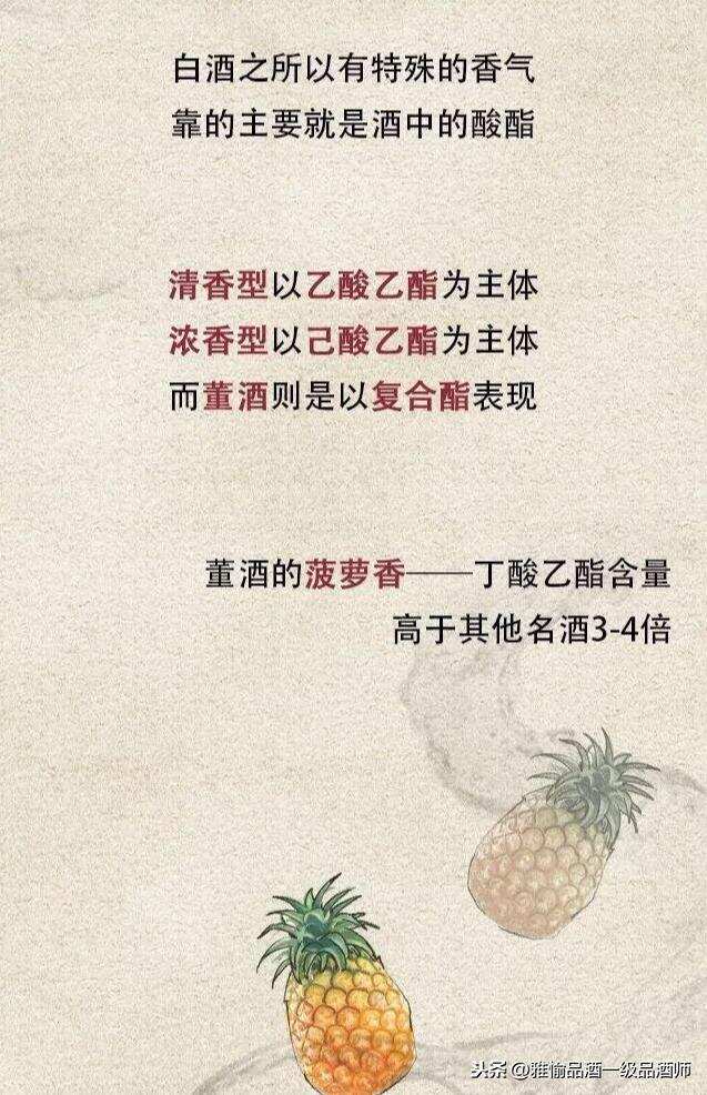 董酒是什么？雅愉品酒帶你領略董酒風采