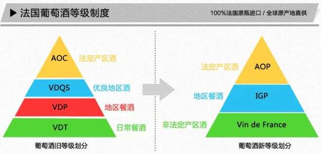 鑒別法國波爾多紅酒，只需5秒