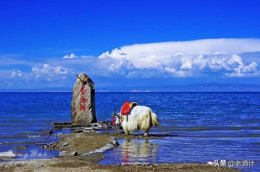 青稞酒的產地，美麗的避暑圣地青海