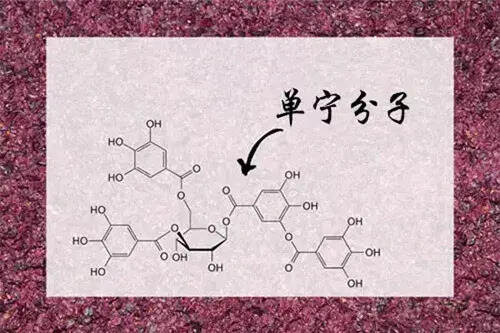 葡萄酒苦澀難喝？那是你沒喝對