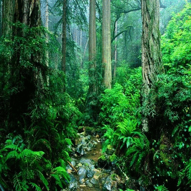 劍南春竟然有六個世界之最，身為四川人很自豪