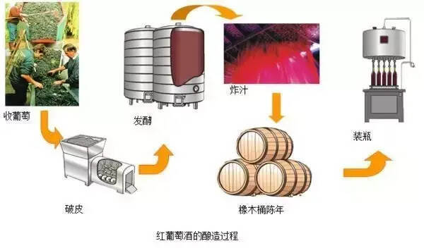 最全紅酒知識，你知道多少？