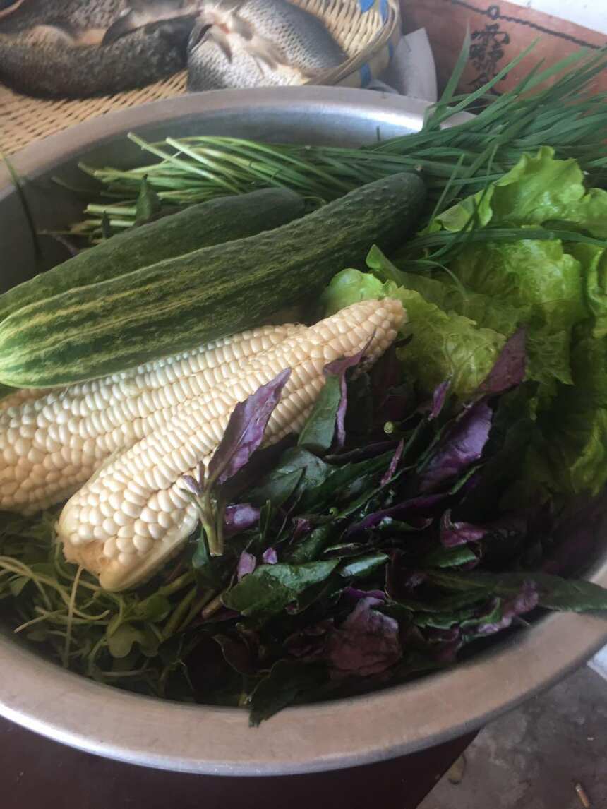 一家人倒上一壺老酒，原生態的食材來一場其樂融融的家庭自助燒烤