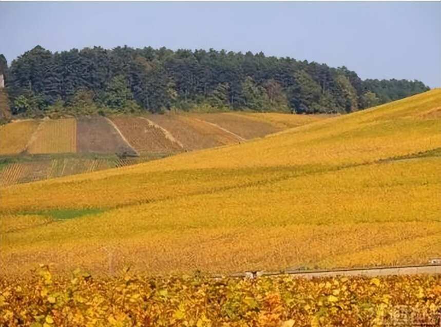 講究｜勃艮第的石塊和道路也關乎葡萄酒的質(zhì)地