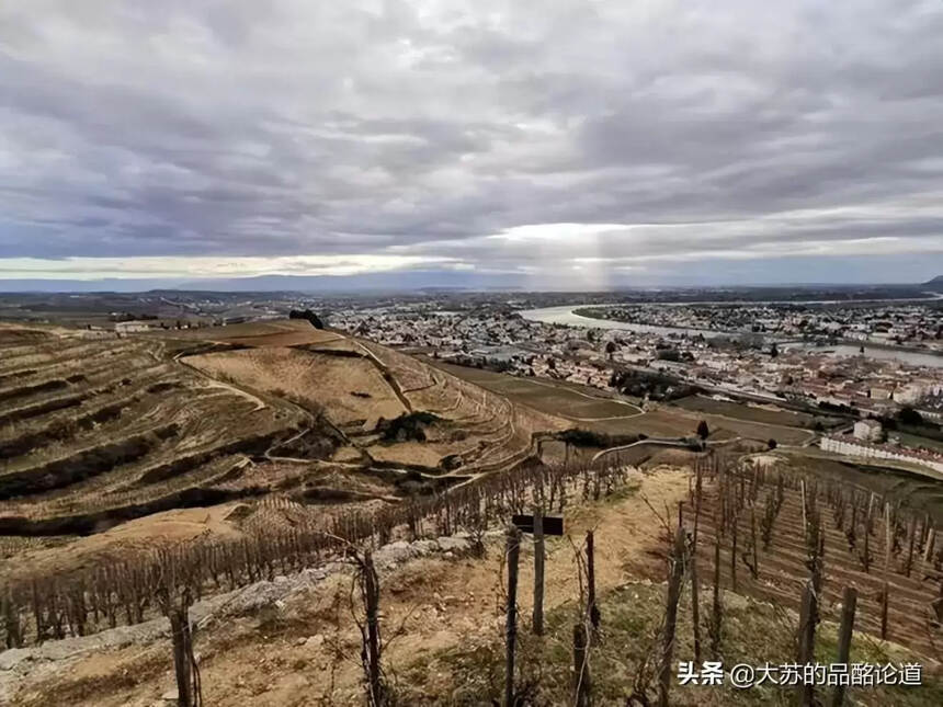 法國波爾多葡萄酒等級劃分（最新法國進口葡萄酒十大排名有什么）