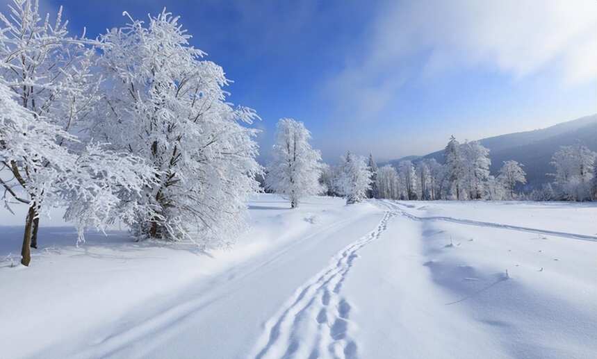 今日大雪，萬物閉藏入仲冬