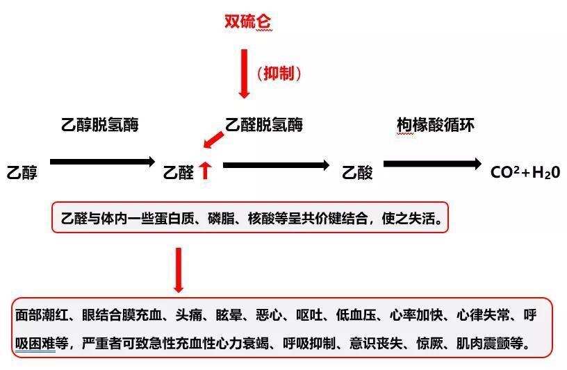 疫情期間囤藥請注意：這幾種藥和酒不能一起服用！