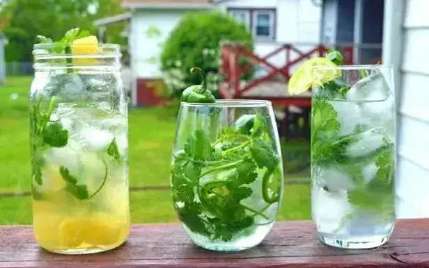 周杰倫歌曲《Mojito》原來是杯經久不衰的雞尾酒