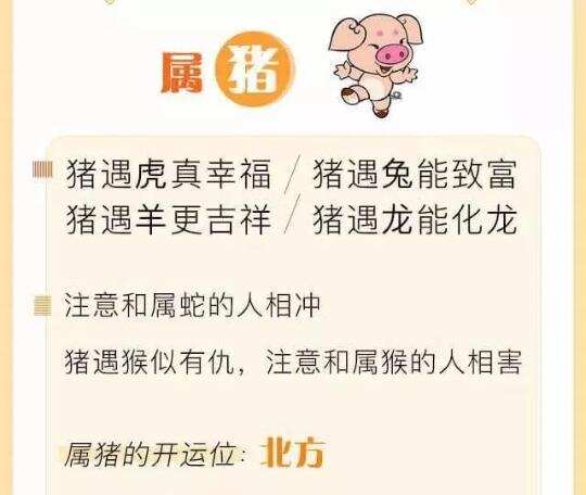 十二生肖貴人是哪些？您的貴人是誰？請關注每日播報之12 生肖豬