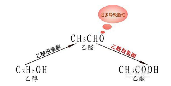 喝酒上臉人好交，到底有沒有科學依據？