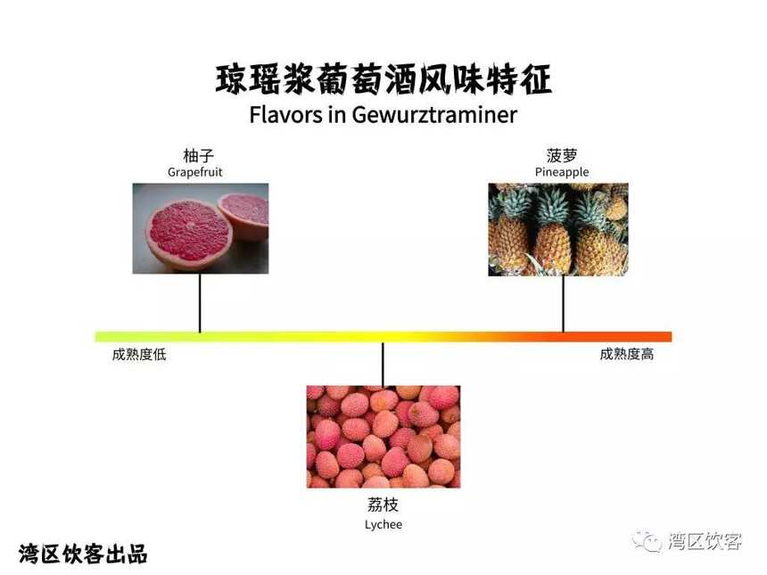 飲客知識庫，葡萄酒冷知識，兩款新手愛不釋口的白葡萄酒