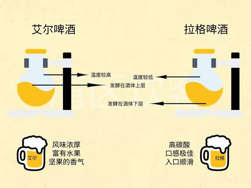 我們常見的黑啤酒、白啤酒、黃啤酒有什么區別，啤酒的分類知多少