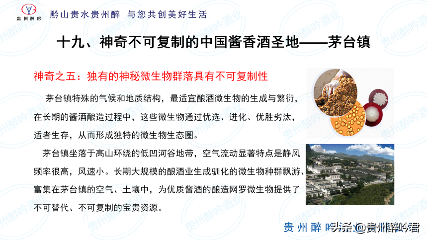 從投料到處廠經過30道工序，165個工藝環節，至少需要5年