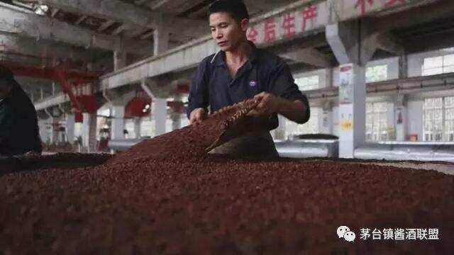 茅臺酒要九次蒸煮，為何只有七次取酒？