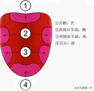 白酒有苦味是什么原因？（很透徹！）