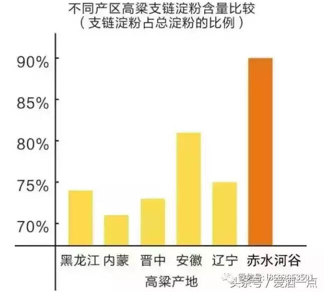 哪種高粱釀酒最好？