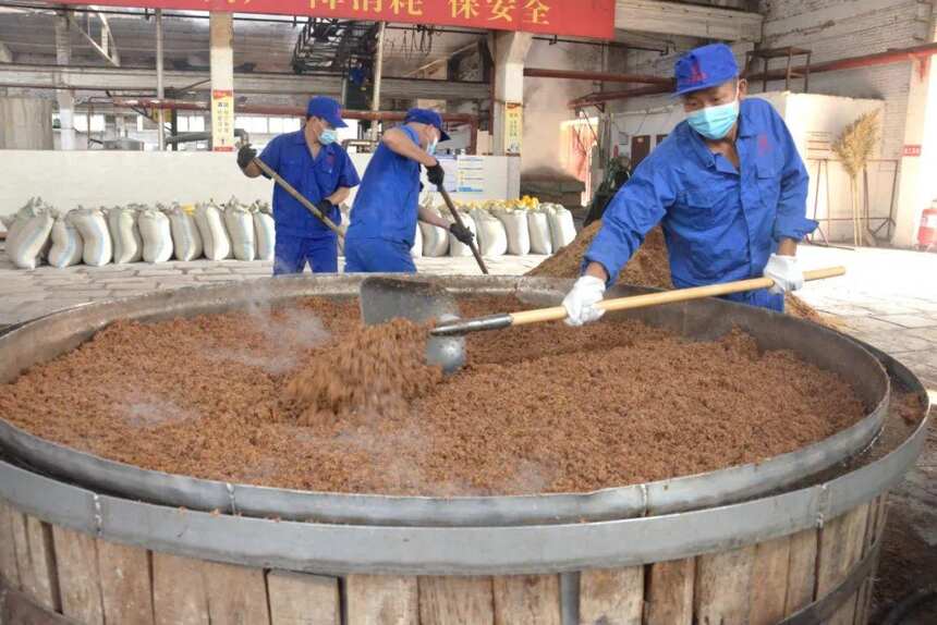 杜康開釀了！以珍貴秋釀，敬愛酒之人