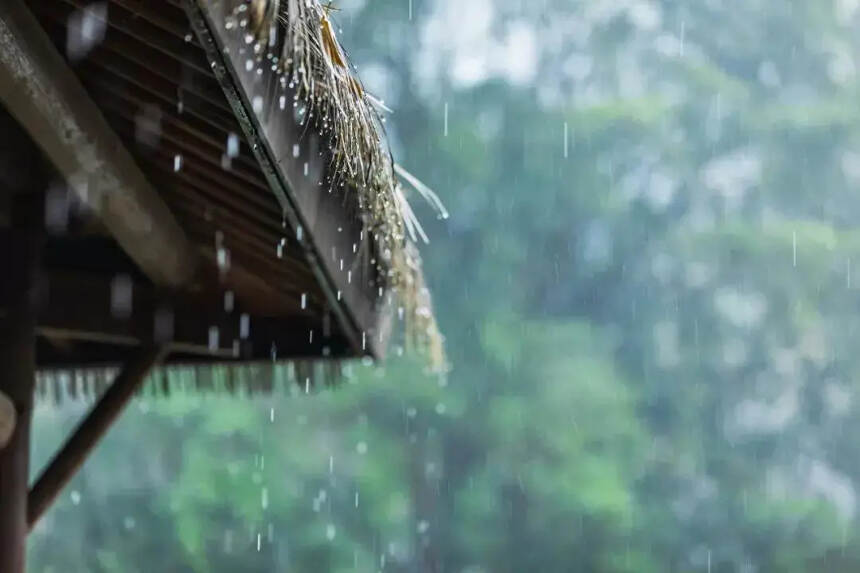 人生九雅：看花聽雨聞香，喝不求解渴的酒