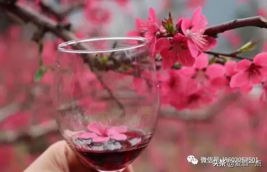 花可以做酒嗎 花酒怎么制作？