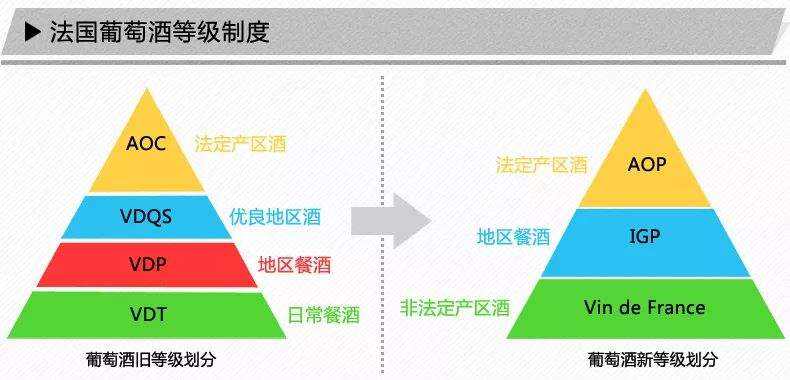 小金貂紅酒讓人喜歡的4個理由