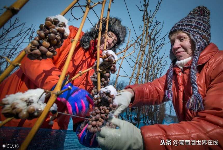 波爾多葡萄酒筆記，你都讀懂了嗎？