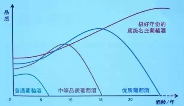 葡萄酒的最佳飲用期到底多久？