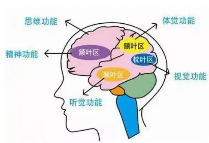 喝酒的時候為什么會斷片？